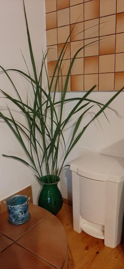Makfa Vendeghaz Hotel Vasvár Esterno foto